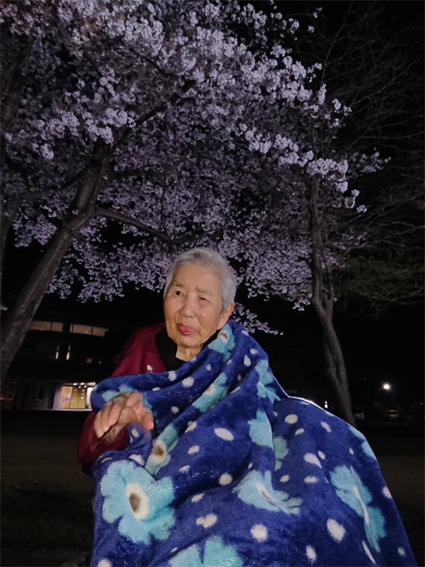 夜桜ライトアップ