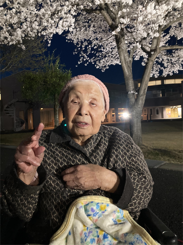 夜桜ライトアップ