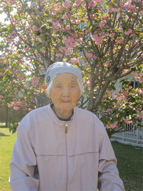 ぼたん桜