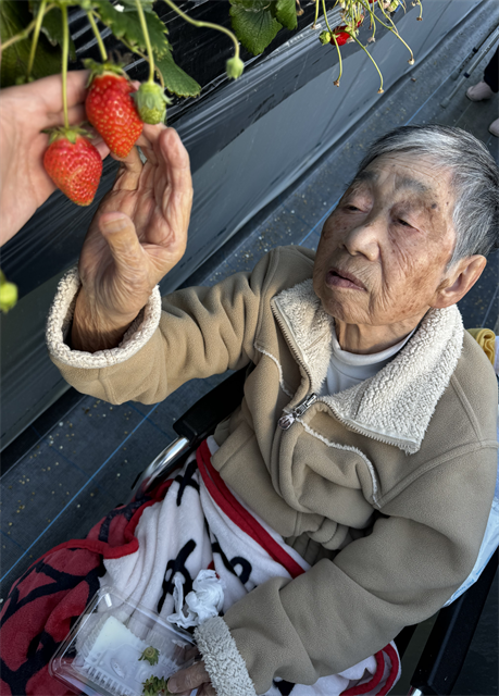 いちご園