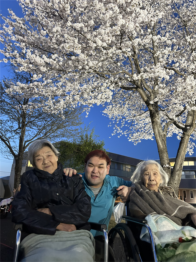 夜桜