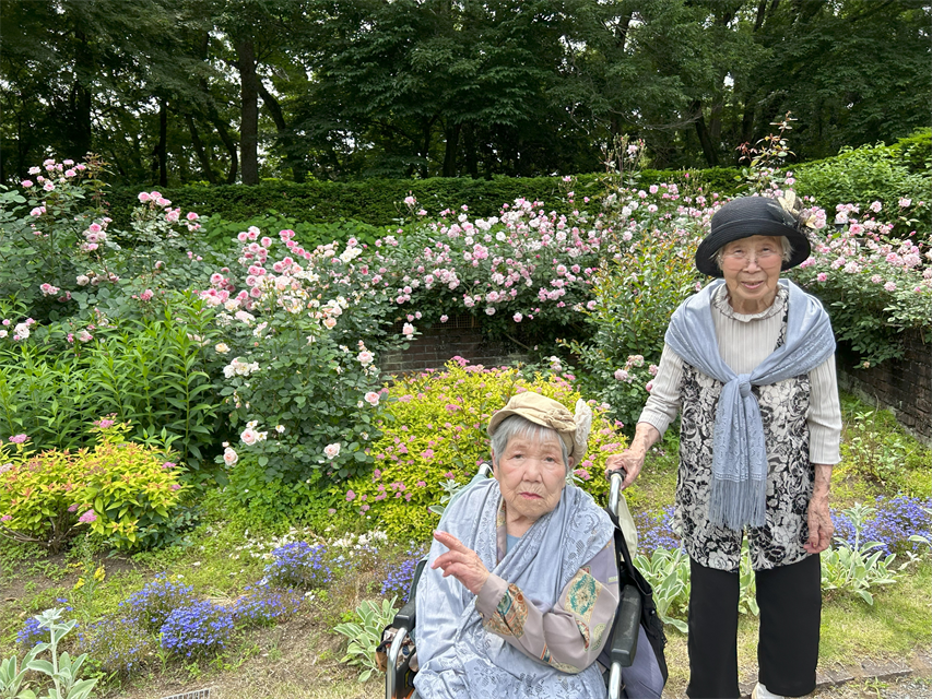 バラ
