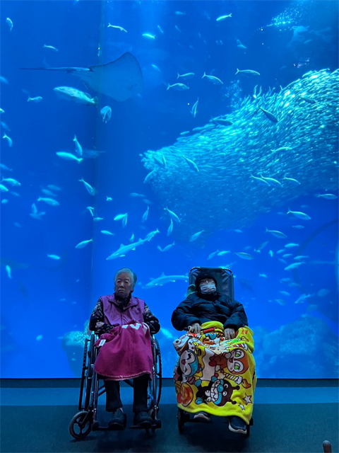 大洗水族館
