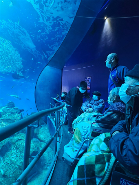 大洗水族館